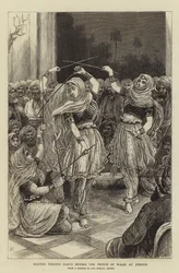 Nautch Fencing Dance before the Prince of Wales at Jummoo